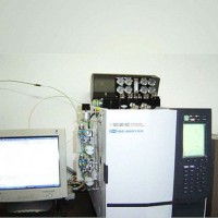 GC-8801SH型氦離子化檢測器氣相色譜儀