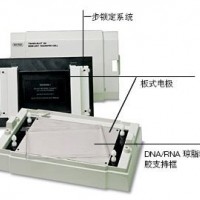 美國Bio-Rad 伯樂Trans-Blot SD 170-3940 通用型半干轉印槽