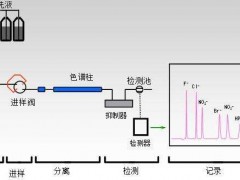 HJ1050-2019《水質(zhì)氯酸鹽、亞氯酸鹽、溴酸鹽、二氯乙酸和三氯乙酸的測定離子色譜法》發(fā)布
