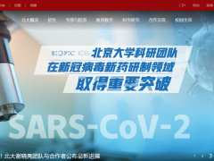 北京大學謝曉亮團隊:國產(chǎn)新冠肺炎強效藥有望冬季誕生