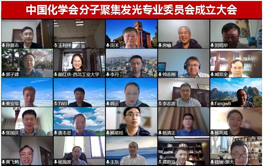 分子聚集發(fā)光專業(yè)委員會宣布成立