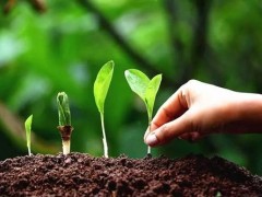 土壤重金屬分析儀器的機遇來了 28億土壤污染防治專項資金下發(fā)
