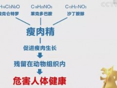 3.15曝出“瘦肉精”問(wèn)題 液相色譜儀出具克倫特羅的測(cè)定方案
