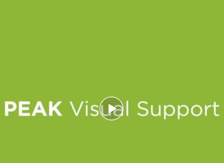 畢克氣體PEAK發(fā)布全新動態(tài)可視化支持軟件：實時在線完成問題診斷