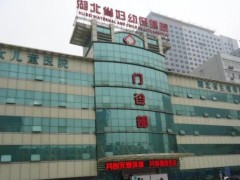 湖北省婦幼保健院預(yù)算260萬(wàn) 競(jìng)爭(zhēng)性磋商采購(gòu)液相色譜質(zhì)譜聯(lián)用儀