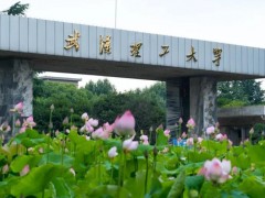 武漢理工大學(xué)預(yù)算150萬元 采購激光器及便攜式氣體分析儀等儀器設(shè)備