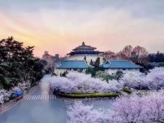 武漢大學(xué)預(yù)算1170萬 采購氣質(zhì)聯(lián)用儀、圓二色光譜儀、氣相色譜儀、液相色譜儀等