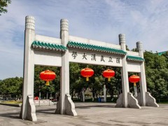 武漢大學(xué)3810萬 采購電子顯微鏡、吸收光譜儀、物理吸附分析儀等儀器