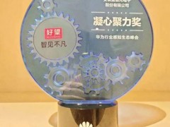 安徽藍(lán)盾光電榮獲：華為行業(yè)感知生態(tài)峰會(huì)“凝心聚力獎(jiǎng)”稱號