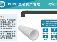 賽萊默“PCCP（預(yù)應(yīng)力鋼筒混凝土管）斷絲檢測和監(jiān)測技術(shù)”現(xiàn)場復(fù)核優(yōu)秀