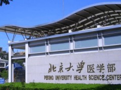 北京大學醫(yī)學部預算178萬元 招標采購多功能活細胞成像檢測儀