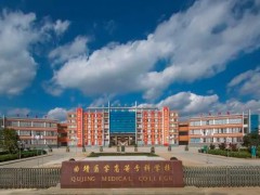 曲靖醫(yī)學(xué)高等?？茖W(xué)校預(yù)算485萬(wàn) 采購(gòu)招標(biāo)藥學(xué)實(shí)驗(yàn)儀器設(shè)備