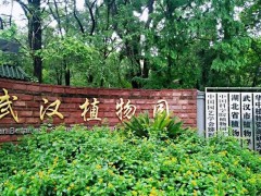 中國科學院武漢植物園預(yù)算185萬元 采購三重四極桿液質(zhì)聯(lián)用儀