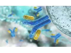 安捷倫科技生物制藥伴隨診斷服務(wù)實驗室已通過美國CLIA實驗室資質(zhì)認(rèn)證